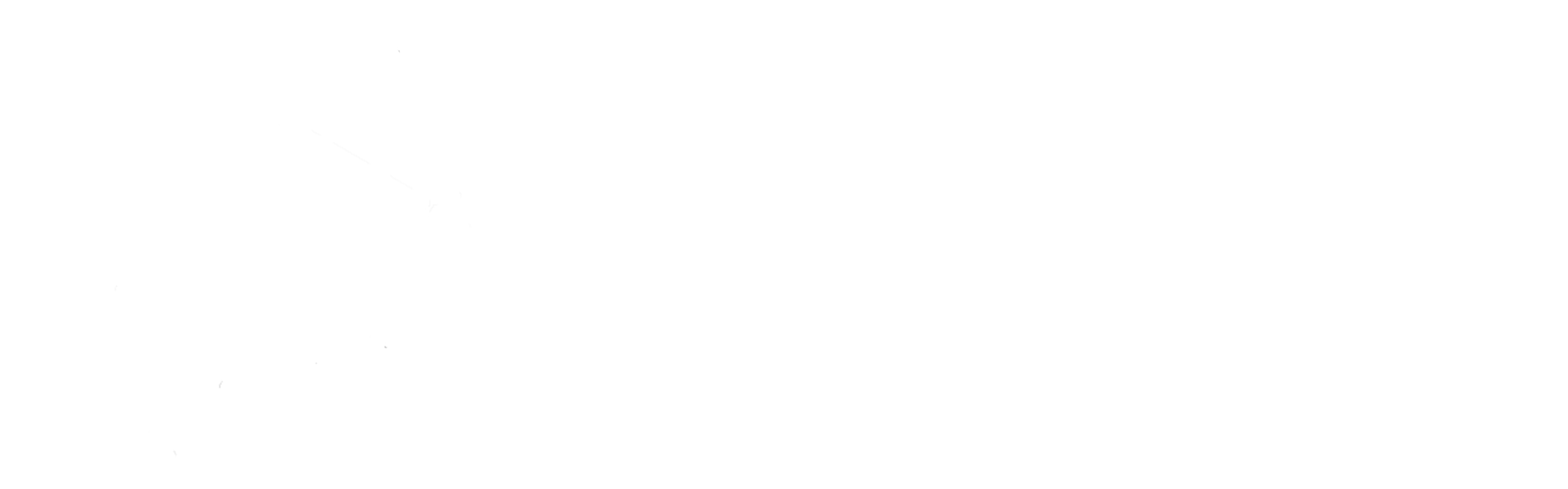 Prospecto Logo